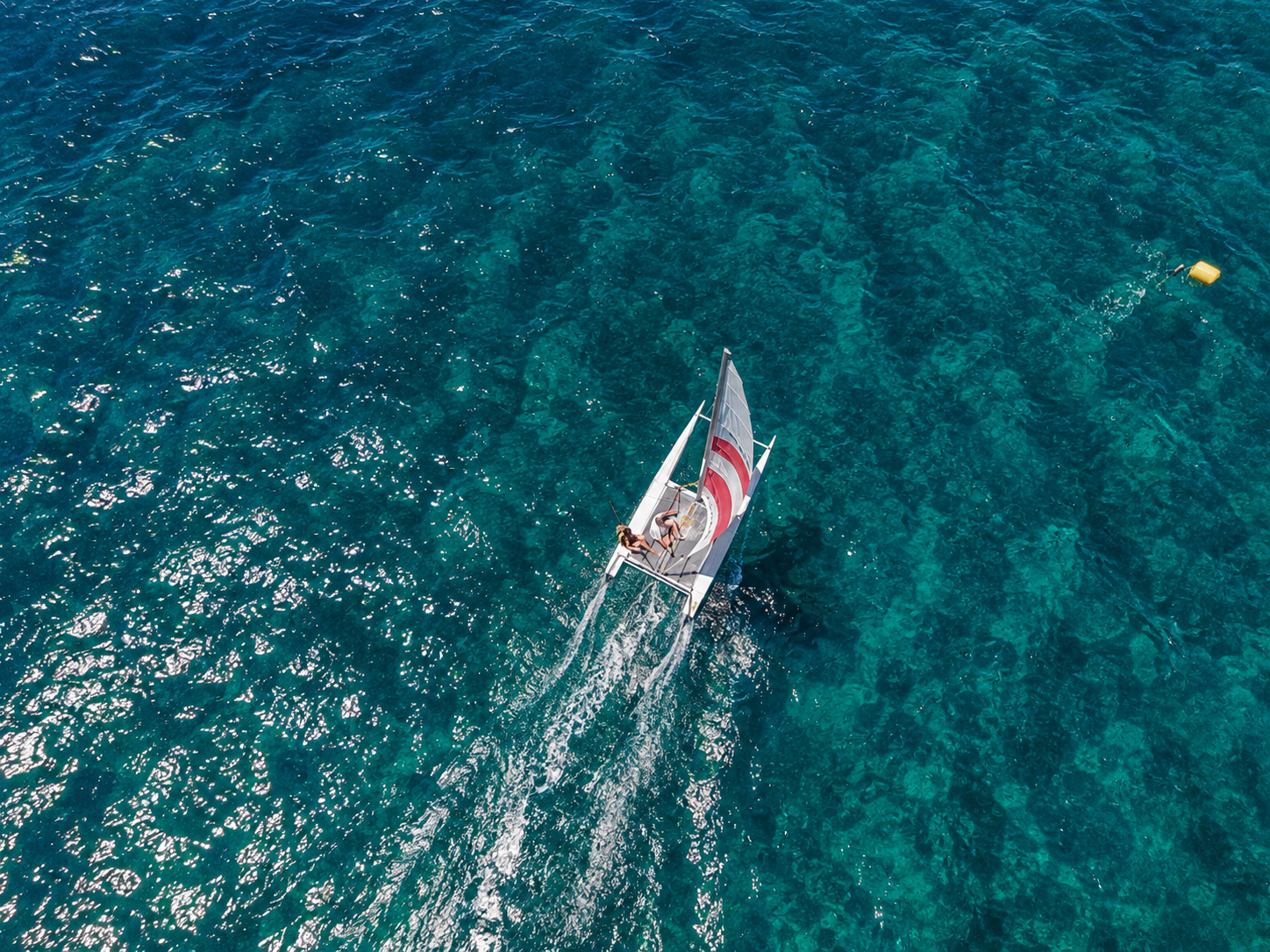 Water Sports Catamaran 1.png